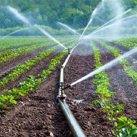 Δημοτικά έργα